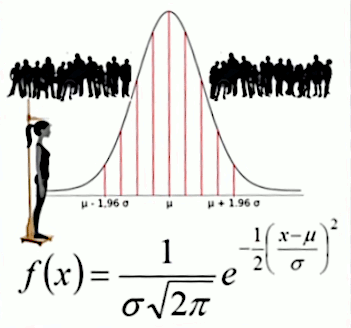 fonction-intro-103.gif