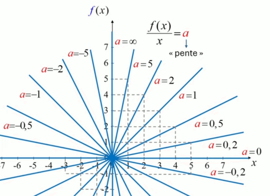 fonction-lineaire-a.gif