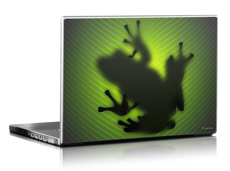 frog-laptop.jpg
